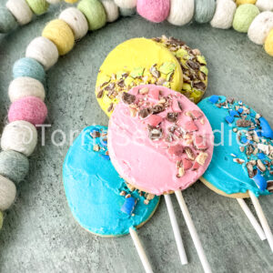 Robin Easter Egg Malted Flavor Cookie Pops on Sage