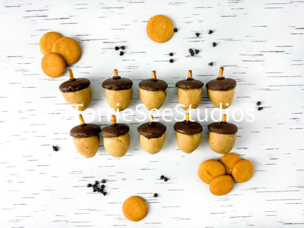 Acorn Cookie Dough Truffles on White Birch - Image 10