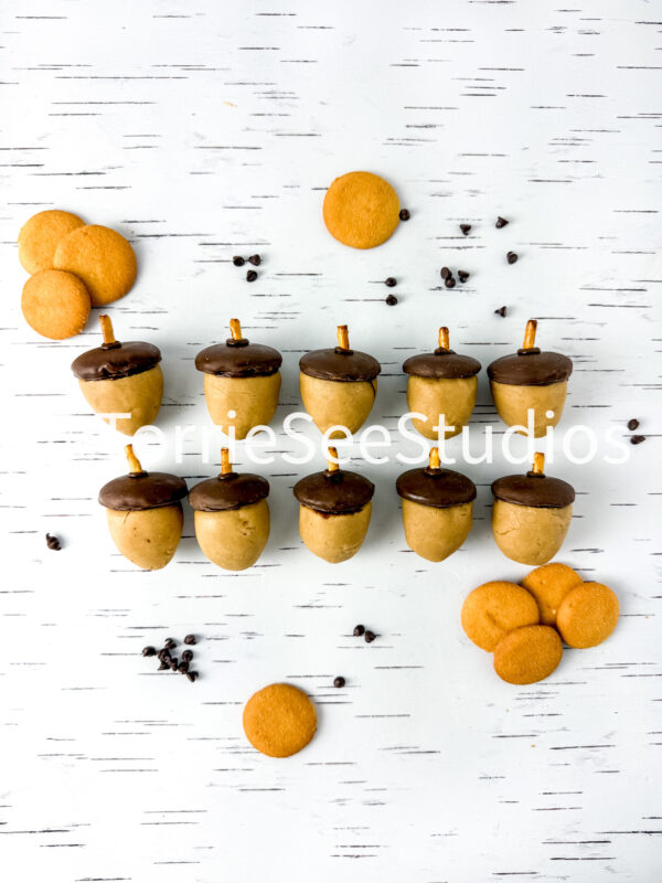 Acorn Cookie Dough Truffles on White Birch - Image 8