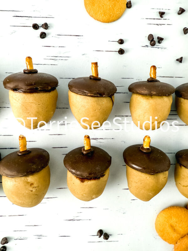 Acorn Cookie Dough Truffles on White Birch - Image 7