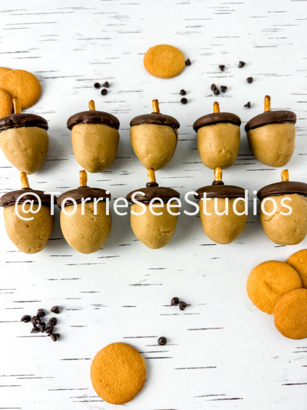 Acorn Cookie Dough Truffles on White Birch - Image 6