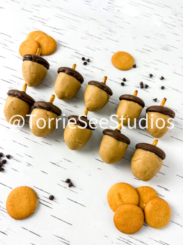 Acorn Cookie Dough Truffles on White Birch - Image 5