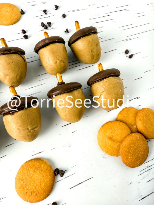 Acorn Cookie Dough Truffles on White Birch - Image 3