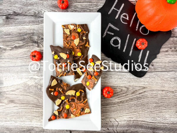 Autumn/Fall Bark on Weathered Wood