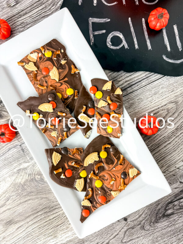 Autumn/Fall Bark on Weathered Wood - Image 4